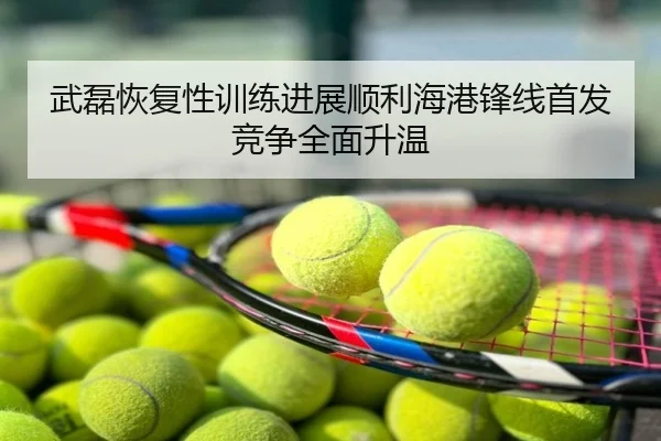 武磊恢复性训练进展顺利海港锋线首发竞争全面升温